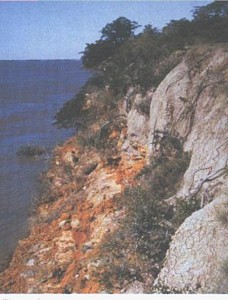 Nest sites in cliffs on the Rio Parana