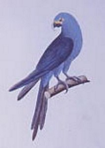 Close-up of the illustration on the left
